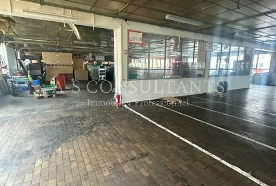 ENTREPOT LOCATION SAINT PIERRE EN FAUCIGNY 344256780_74_0085_4.jpg