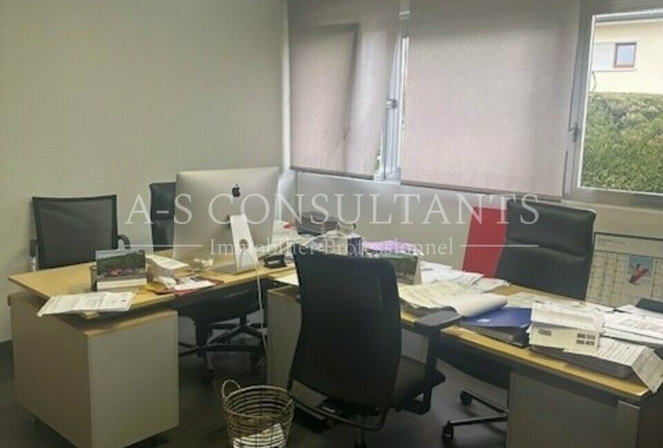 ENTREPOT LOCATION SAINT PIERRE EN FAUCIGNY 344261929_74_0085_9.jpg