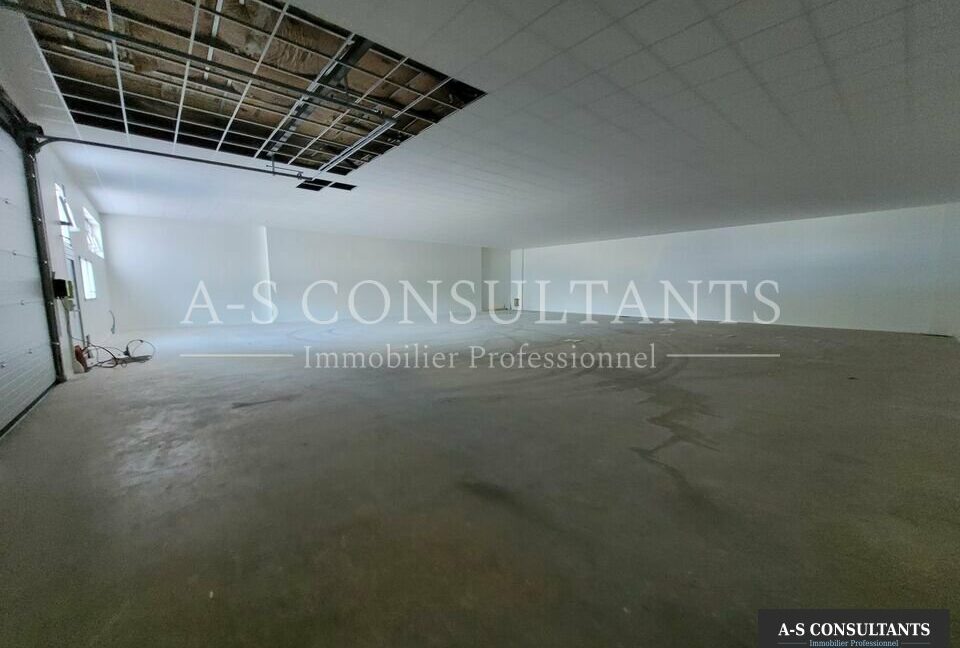 LOCAL D'ACTIVITE LOCATION SALAISE SUR SANNE 372349695_38_0353_4.jpg