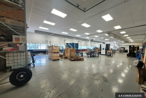 LOCAL D'ACTIVITE A VENDRE RENAGE 38_0357_2.jpg