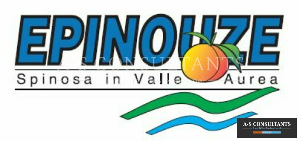 LOCAL D'ACTIVITE A VENDRE EPINOUZE 416377731_26_0090_2.jpg