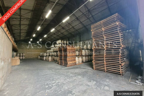 LOCAL D'ACTIVITE A VENDRE MORAS-EN-VALLOIRE 418292565_26_0248_1.jpg