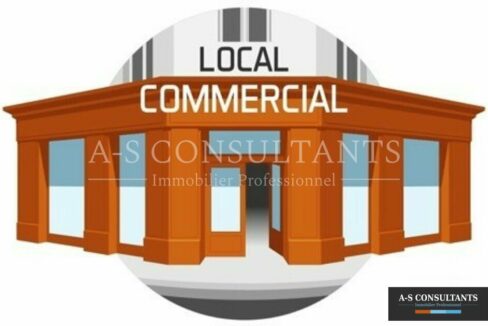 LOCAL COMMERCIAL A VENDRE DAVEZIEUX 559088315_07_0133_1.jpg