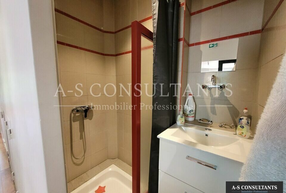 LOCAL PROFESSIONNEL A VENDRE LE PÉAGE-DE-ROUSSILLON 669940351_38_0351_1.jpg