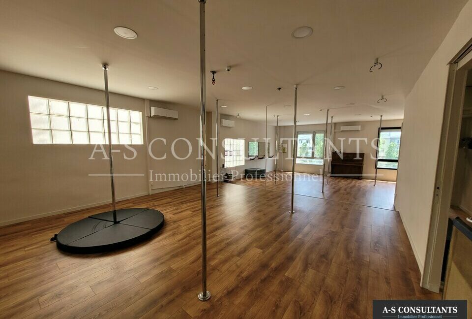 LOCAL PROFESSIONNEL A VENDRE LE PÉAGE-DE-ROUSSILLON 669956264_38_0351_4.jpg