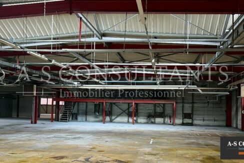 BATIMENT INDUSTRIEL A VENDRE AYSE 692225834_74_0106_2.jpg