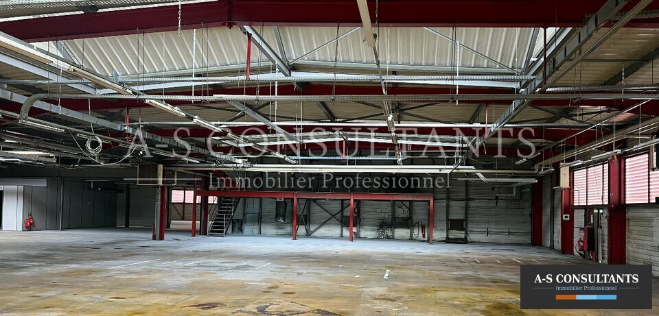 BATIMENT INDUSTRIEL A VENDRE AYSE 692225834_74_0106_2.jpg