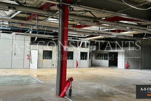 BATIMENT INDUSTRIEL A VENDRE AYSE 695126639_74_0105_1.jpg