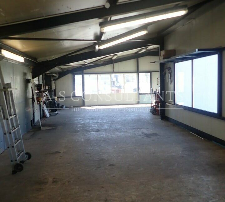 LOCAL D'ACTIVITE LOCATION SAINT-JORIOZ 735048249_74_0114_6.jpg