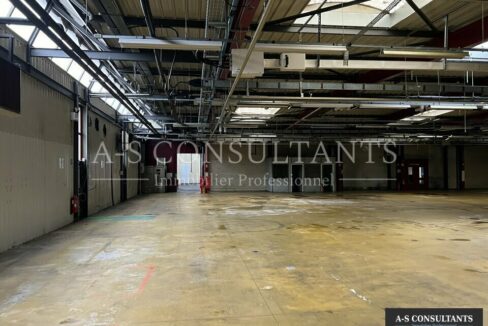 BATIMENT INDUSTRIEL A VENDRE AYSE 74_0108_4.jpg