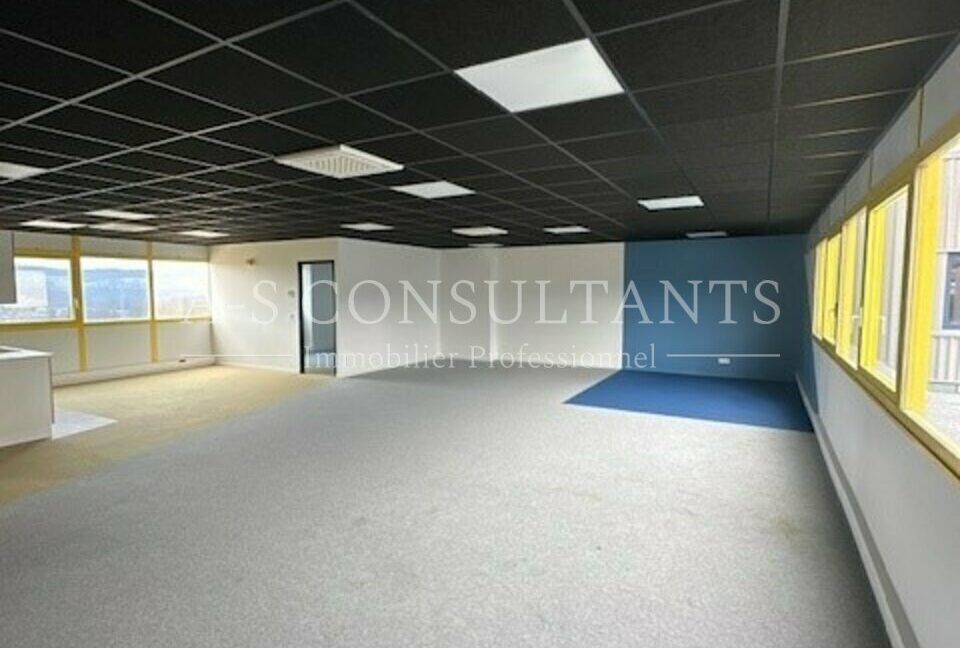 BUREAUX LOCATION ANNECY 865054681_74_0102_2.jpg