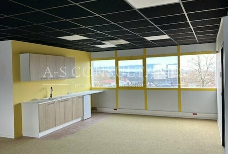 BUREAUX LOCATION ANNECY 865057333_74_0102_4.jpg