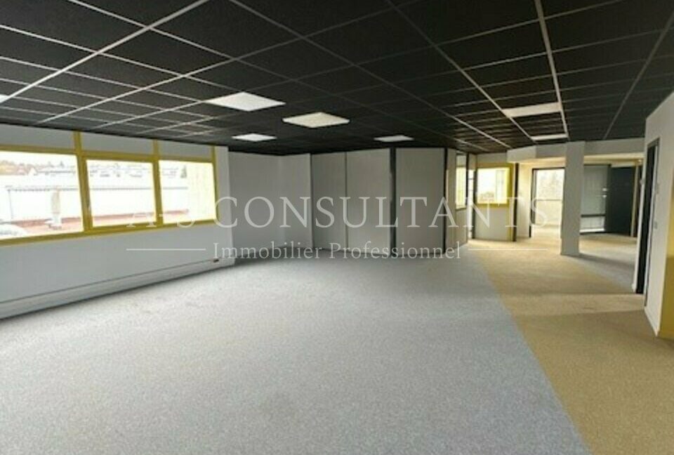 BUREAUX LOCATION ANNECY 865059618_74_0102_6.jpg