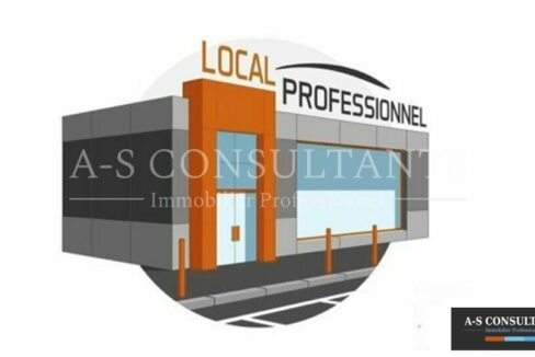 LOCAL COMMERCIAL LOCATION CHAMBERY 911087045_73_0092_6.jpg