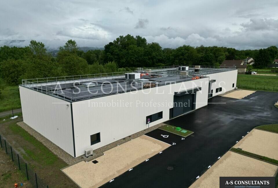 BATIMENT INDUSTRIEL A VENDRE GRANIEU 040062417_38_0336_9.jpg