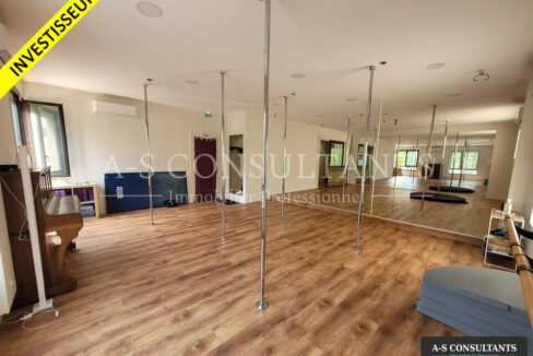 LOCAL PROFESSIONNEL A VENDRE LE PÉAGE-DE-ROUSSILLON 669950947_38_0351_3.jpg