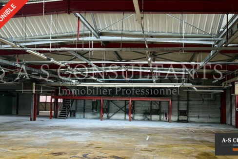 BATIMENT INDUSTRIEL A VENDRE AYSE 692225834_74_0106_2.jpg