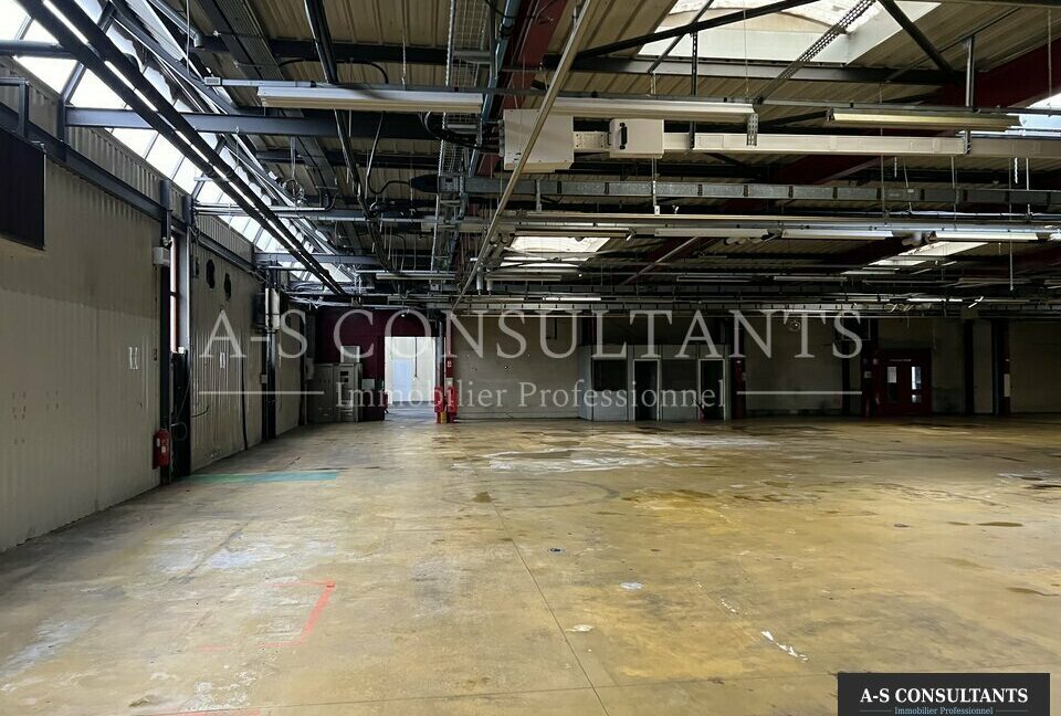 BATIMENT INDUSTRIEL A VENDRE AYSE 74_0108_4.jpg