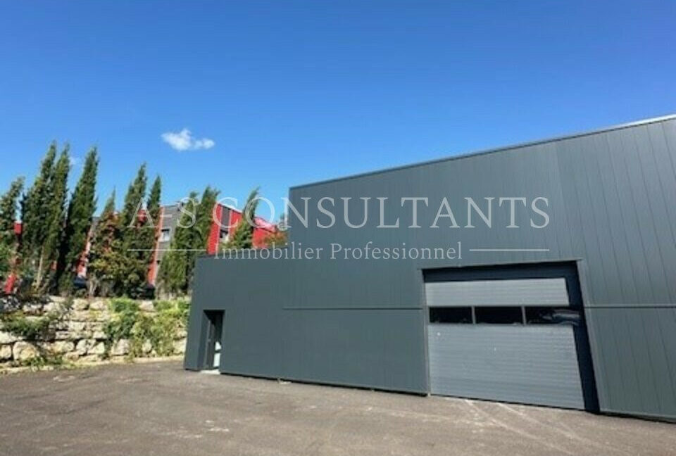 LOCAL D'ACTIVITE LOCATION LA RAVOIRE 965503262_73_0289_10.jpg