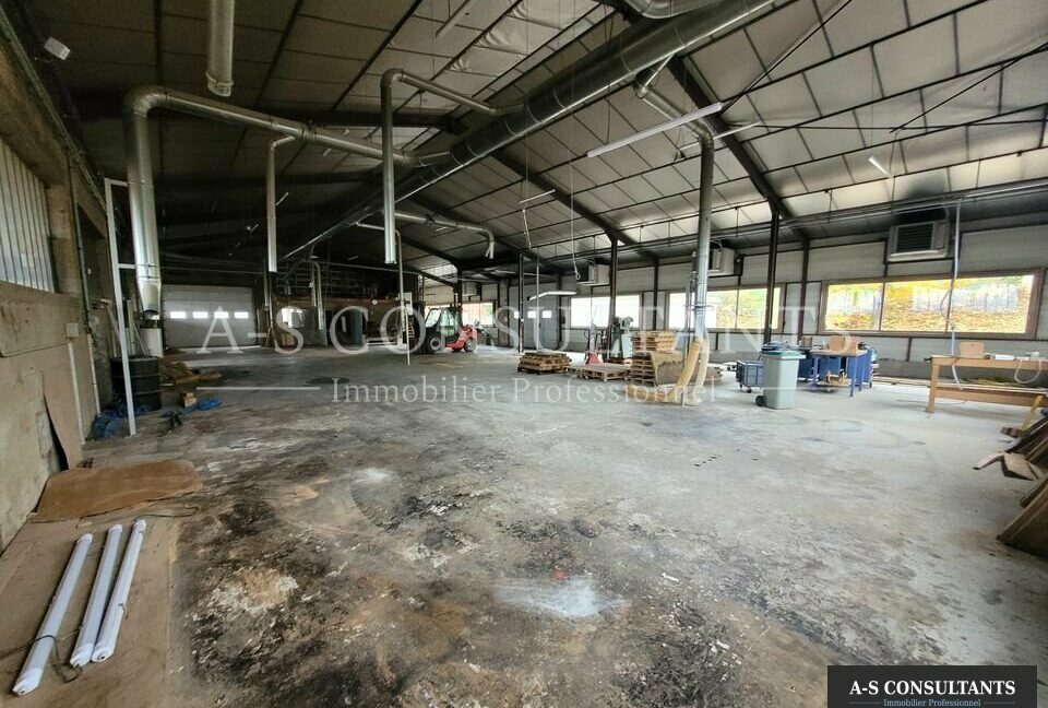 LOCAL D'ACTIVITE A VENDRE MORAS-EN-VALLOIRE 339330208_26_0247_2.jpg