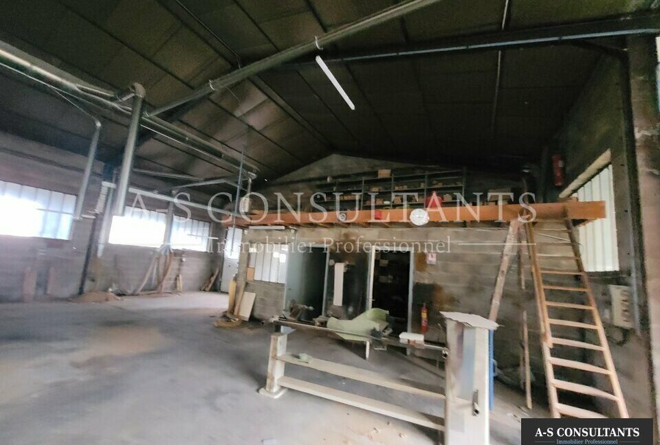 LOCAL D'ACTIVITE A VENDRE MORAS-EN-VALLOIRE 339335047_26_0247_3.jpg