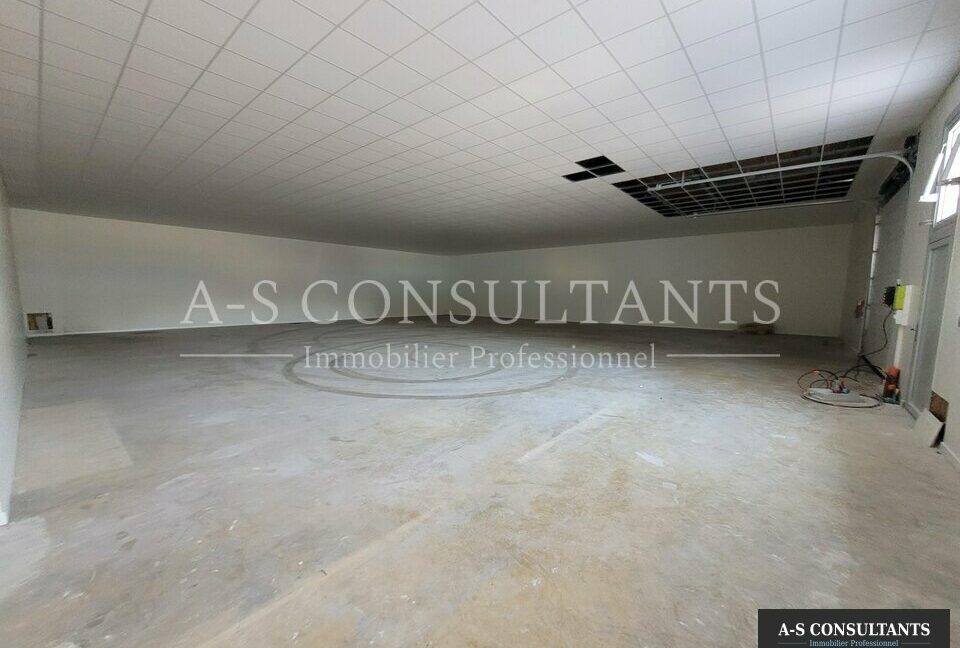 LOCAL D'ACTIVITE LOCATION SALAISE SUR SANNE 372341159_38_0353_2.jpg