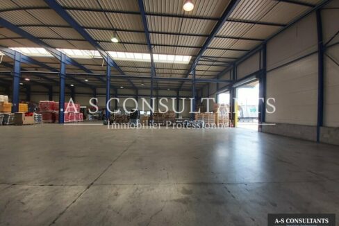 LOCAL D'ACTIVITE LOCATION VIRIVILLE 38_0371_1.jpg