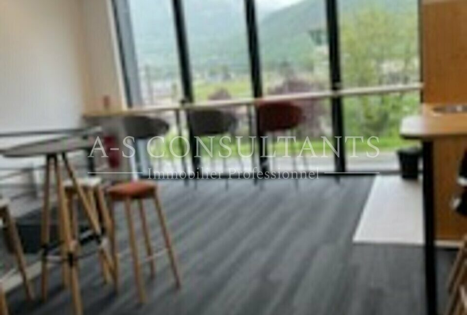 LOCAL D'ACTIVITE - ENTREPOT LOCATION CHALLES LES EAUX 667495180_73_0156_1.jpg