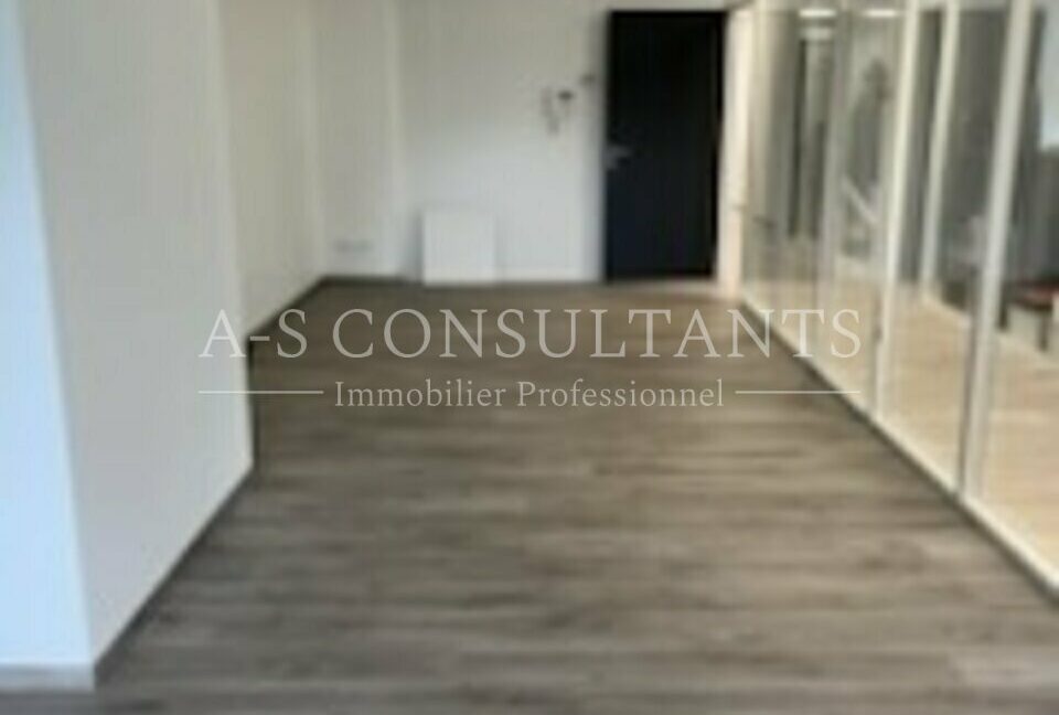 LOCAL D'ACTIVITE - ENTREPOT LOCATION CHALLES LES EAUX 667498066_73_0156_4.jpg