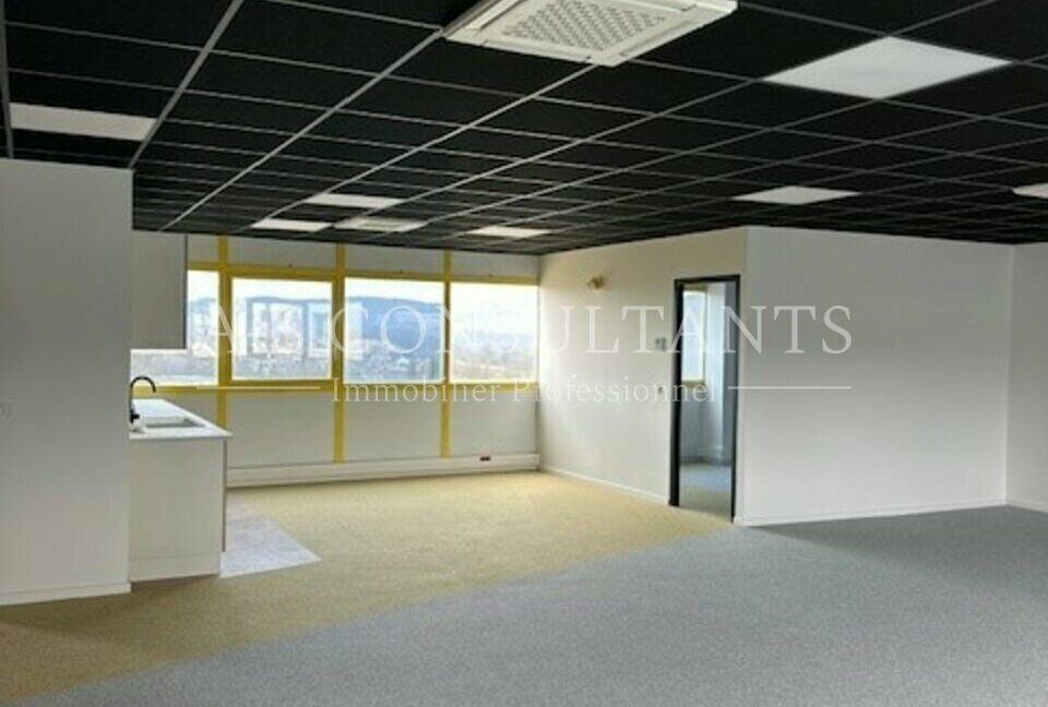 BUREAUX LOCATION ANNECY 865056227_74_0102_3.jpg