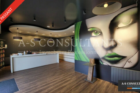LOCAL COMMERCIAL A VENDRE SALAISE-SUR-SANNE 900773887_38_0376_4.jpg