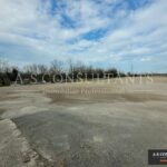 LOCAL D'ACTIVITE LOCATION SAINT-PIERRE-DE-CHANDIEU 916725943_69_0180_3.jpg