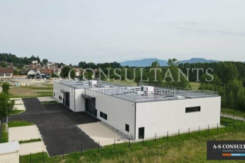 BATIMENT INDUSTRIEL A VENDRE GRANIEU 039360665_38_0336_1.jpg