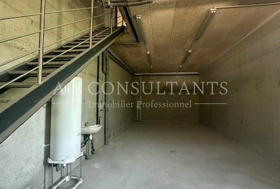 LOCAL PROFESSIONNEL LOCATION DRUMETTAZ-CLARAFOND 121121922_73_0331_7.jpg