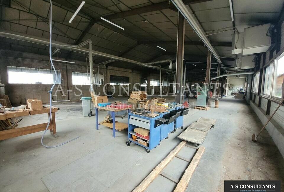 LOCAL D'ACTIVITE A VENDRE MORAS-EN-VALLOIRE 339325674_26_0247_1.jpg