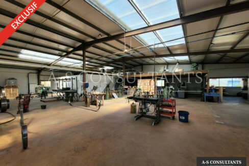 LOCAL D'ACTIVITE A VENDRE LA COTE SAINT ANDRE 38_0379_1.jpg