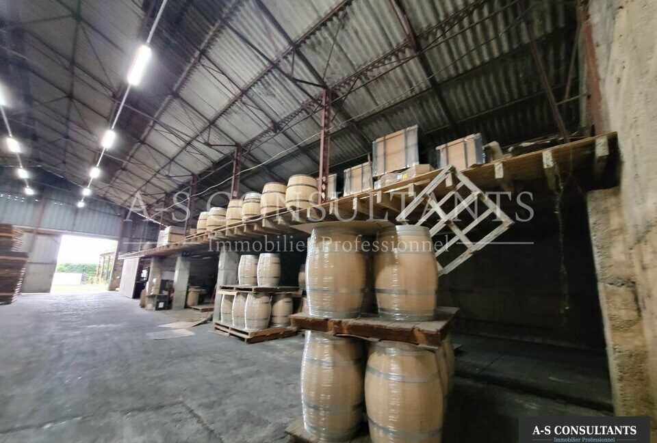 LOCAL D'ACTIVITE A VENDRE MORAS-EN-VALLOIRE 418301664_26_0248_3.jpg