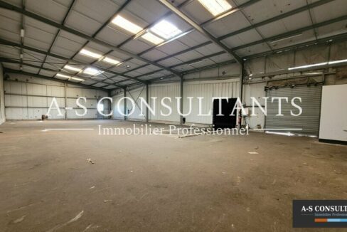 LOCAL D'ACTIVITE LOCATION SONNAY 657033218_38_0378_3.jpg