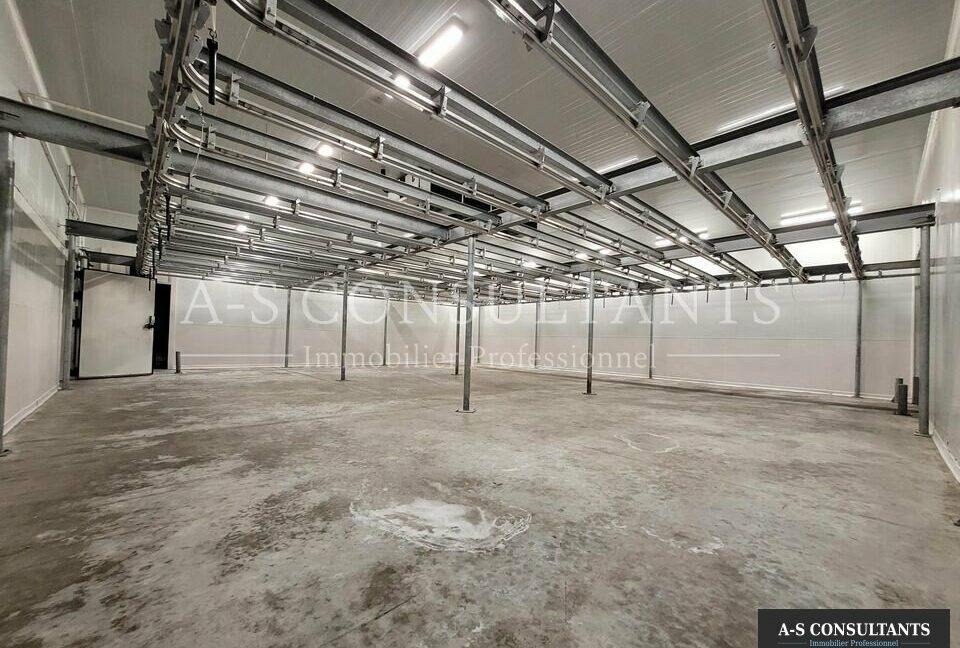 LOCAL D'ACTIVITE LOCATION SAINT SYMPHORIEN D'OZON 69_0085_5.jpg