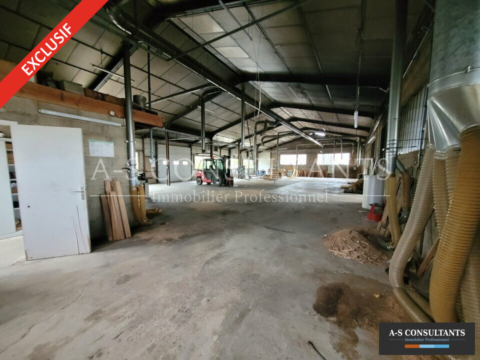 LOCAL D'ACTIVITE A VENDRE MORAS-EN-VALLOIRE 339339642_26_0247_4.jpg