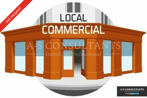 LOCAL COMMERCIAL LOCATION LA COTE SAINT ANDRE 753144451_38_0316_1.jpg