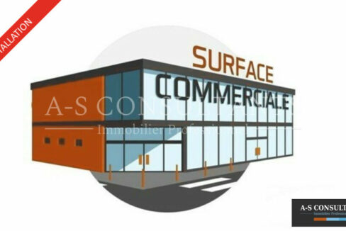LOCAL COMMERCIAL LOCATION DOMESSIN 340346633_73_0308_3.jpg