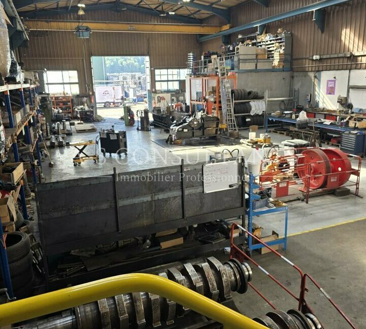 BATIMENT INDUSTRIEL LOCATION SAINTE-HÉLÈNE-SUR-ISÈRE 518472472_73_0347_4.jpg