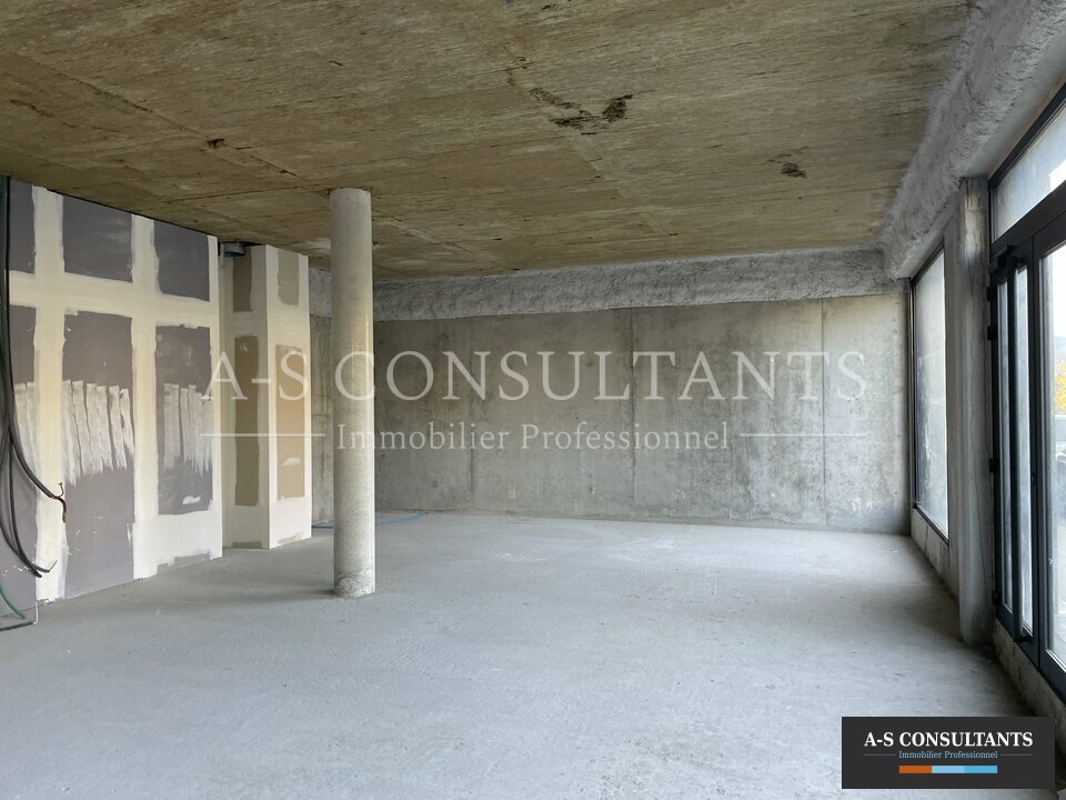 LOCAL PROFESSIONNEL LOCATION SAINT GENIS POUILLY 788083340_01_0096_5.jpg