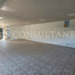 LOCAL COMMERCIAL LOCATION SALAISE SUR SANNE 073516856_38_0388_1.jpg