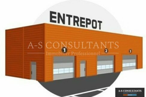 LOCAL D'ACTIVITE A VENDRE ANNONAY 151474347_07_0141_1.jpg