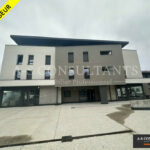 LOCAL COMMERCIAL A VENDRE ALLONZIER-LA-CAILLE 253862040_74_0131_1.jpg