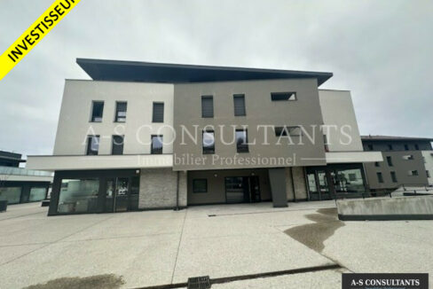 LOCAL COMMERCIAL A VENDRE ALLONZIER-LA-CAILLE 253862040_74_0131_1.jpg