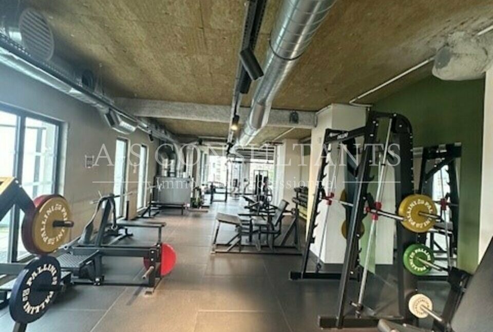 LOCAL COMMERCIAL A VENDRE ALLONZIER-LA-CAILLE 254011329_74_0131_2.jpg