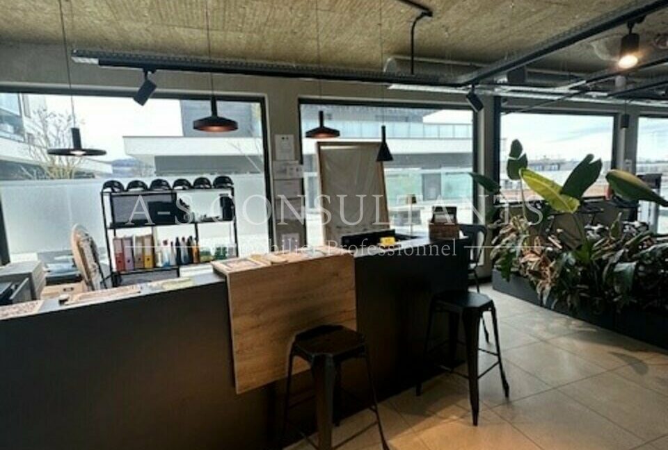 LOCAL COMMERCIAL A VENDRE ALLONZIER-LA-CAILLE 254128729_74_0131_3.jpg